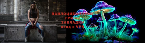 эйфоретик Нязепетровск