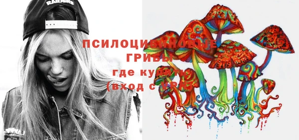 винт Няндома