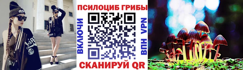 Псилоцибиновые грибы GOLDEN TEACHER  Купить закладки  Усть-Илимск 